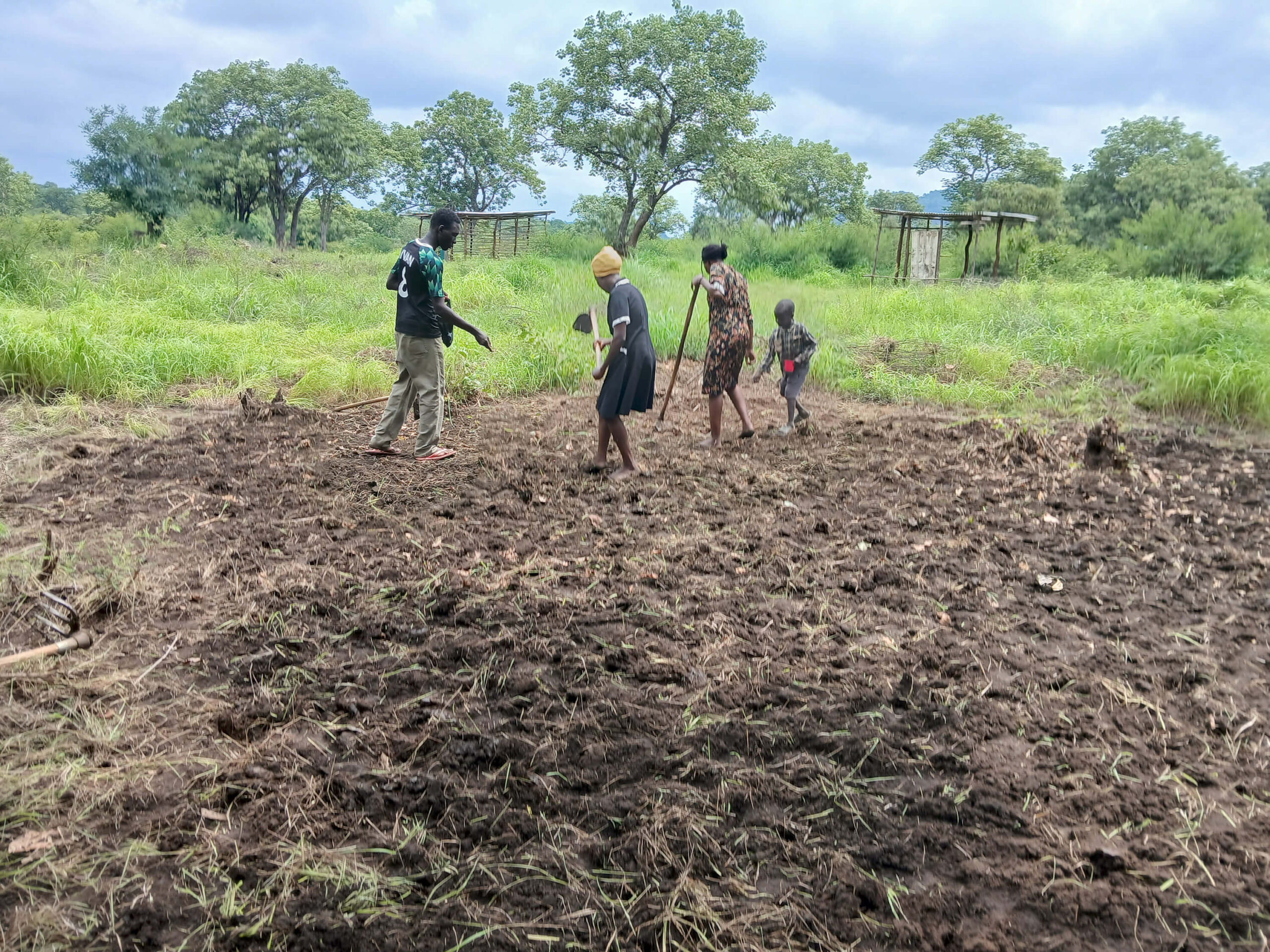 Partner with NEPDSSD